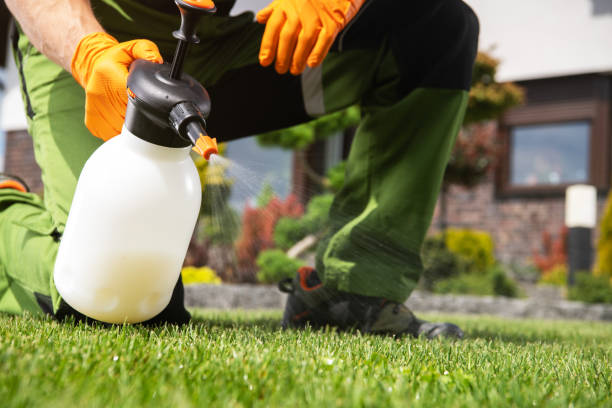 Best Pest Removal Services  in Marion Oaks, FL
