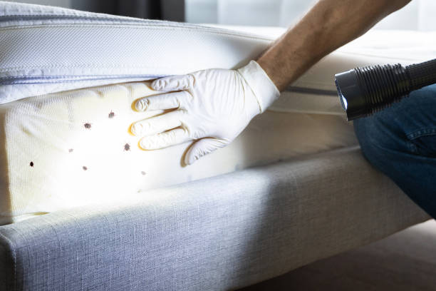 Wildlife Control Services in Marion Oaks, FL