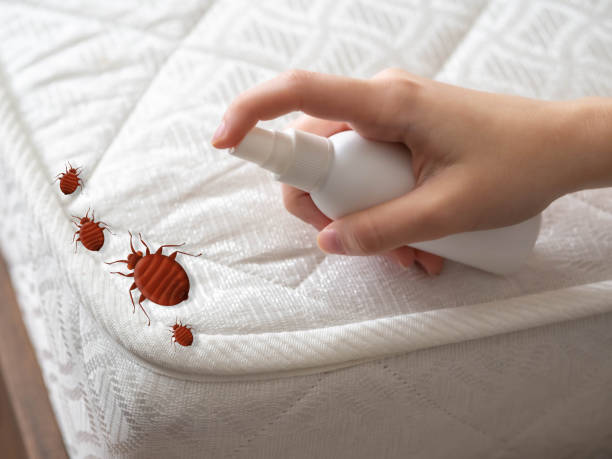 Best Bed Bug Extermination  in Marion Oaks, FL