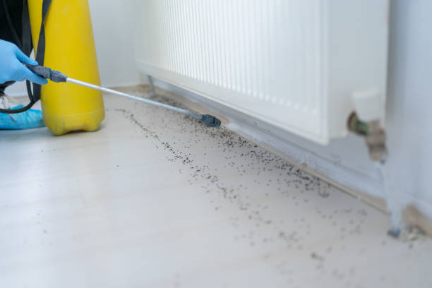 Best Pest Prevention Services  in Marion Oaks, FL