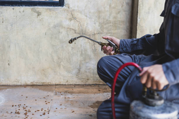 Best Residential Pest Control  in Marion Oaks, FL